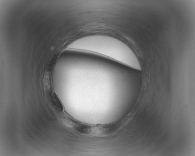 X0000080780121200612151042