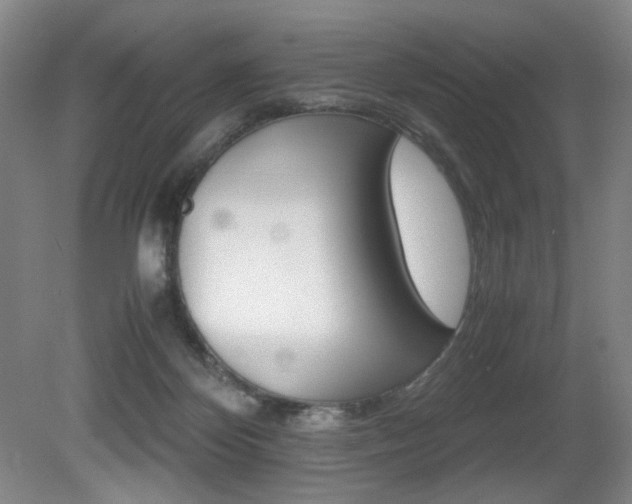 X0000080780124200612151042