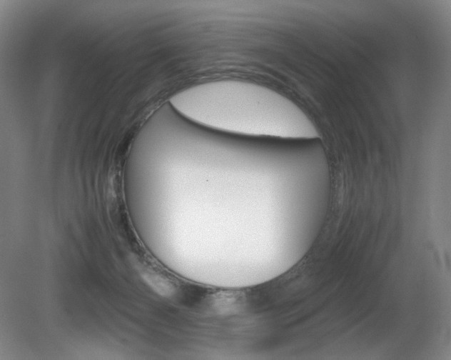X0000080780126200612151042
