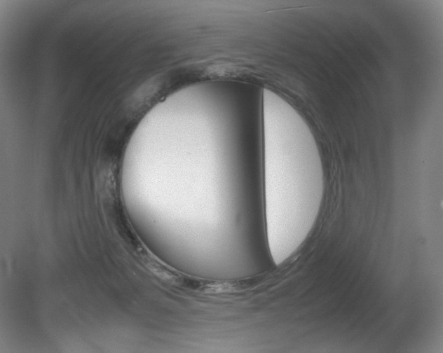 X0000080780127200612151042