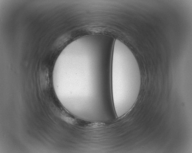 X0000080780128200612151042