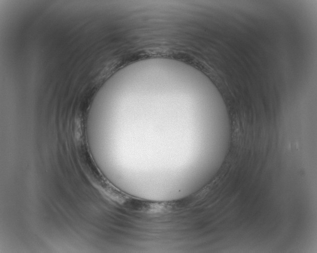 X0000080780130200612151042