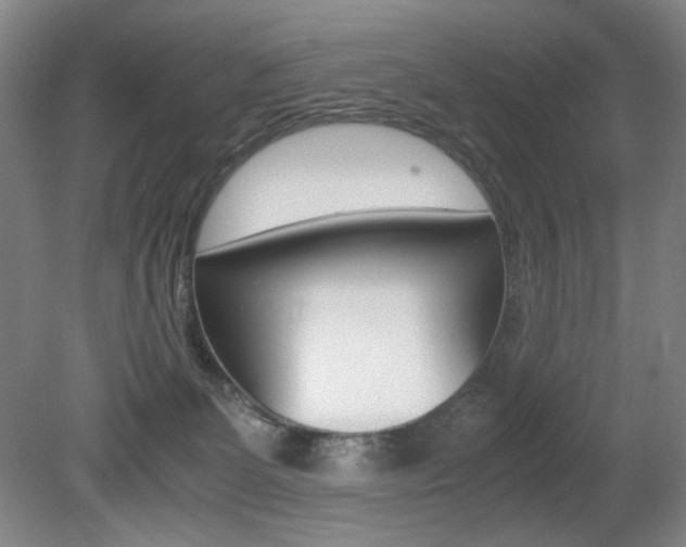 X0000080780131200612151042