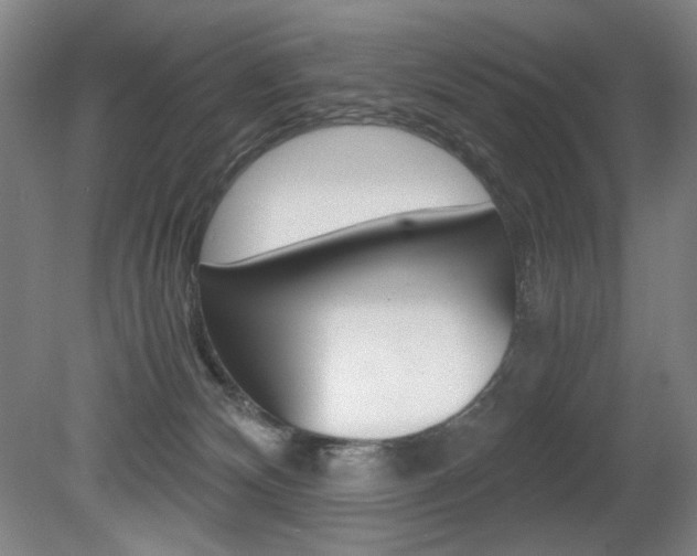 X0000080780132200612151042