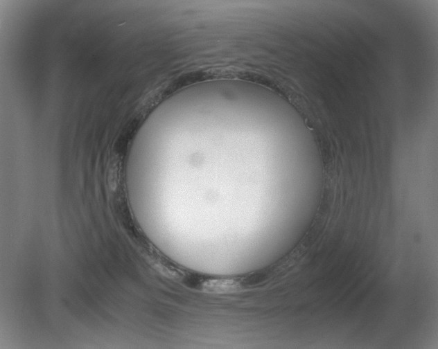 X0000080780133200612151042