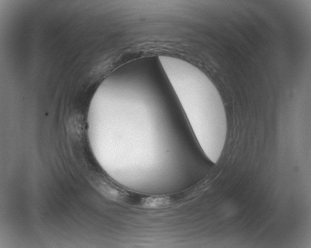 X0000080780135200612151042