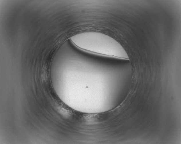X0000080780136200612151041