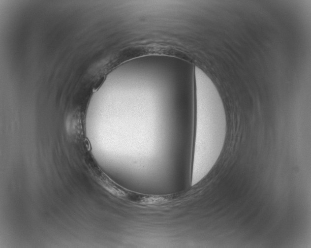 X0000080780137200612151041