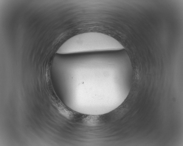 X0000080780138200612151041