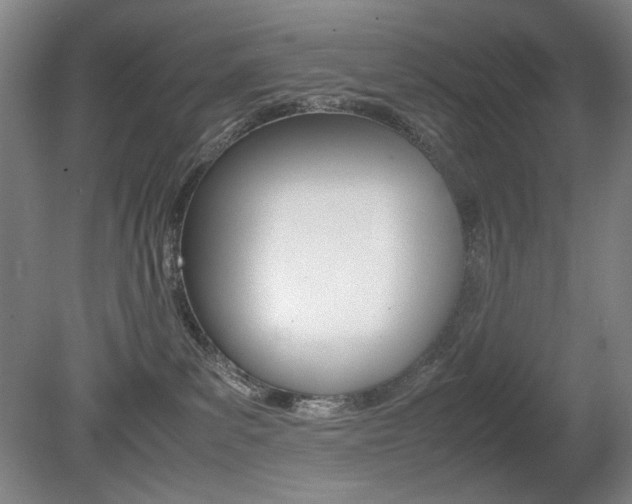 X0000080780139200612151041
