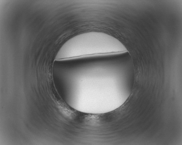 X0000080780140200612151041