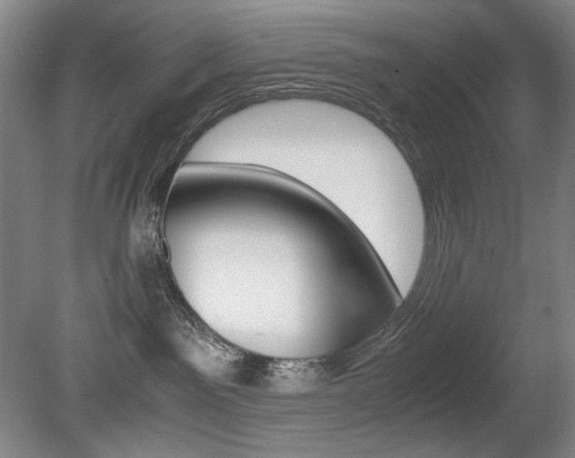 X0000080780141200612151041