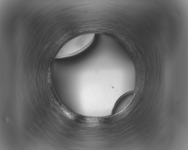 X0000080780144200612151041