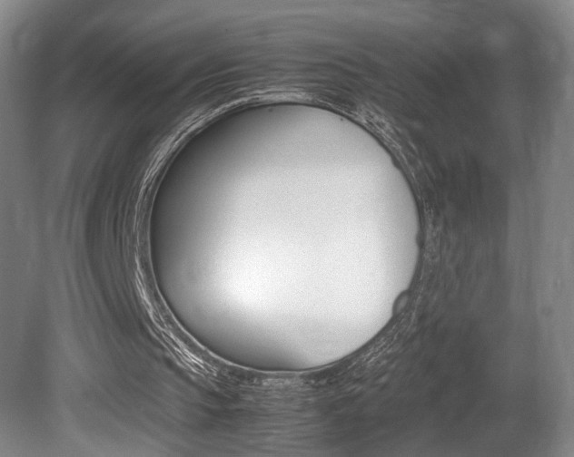 X0000080780145200612151041