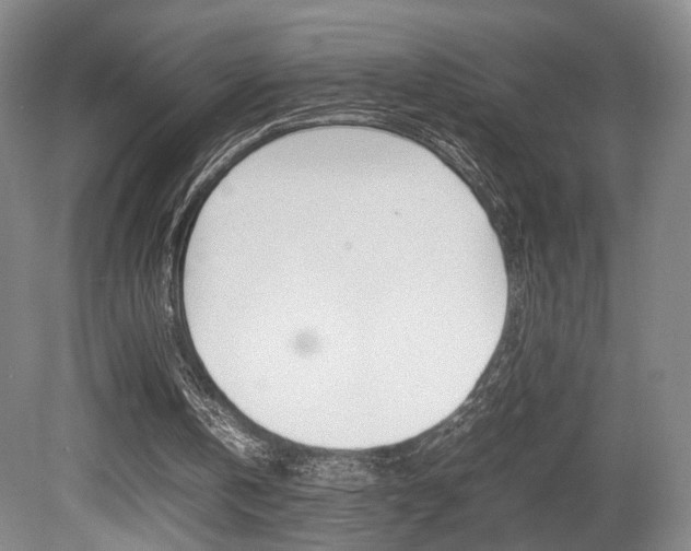 X0000080780146200612151041