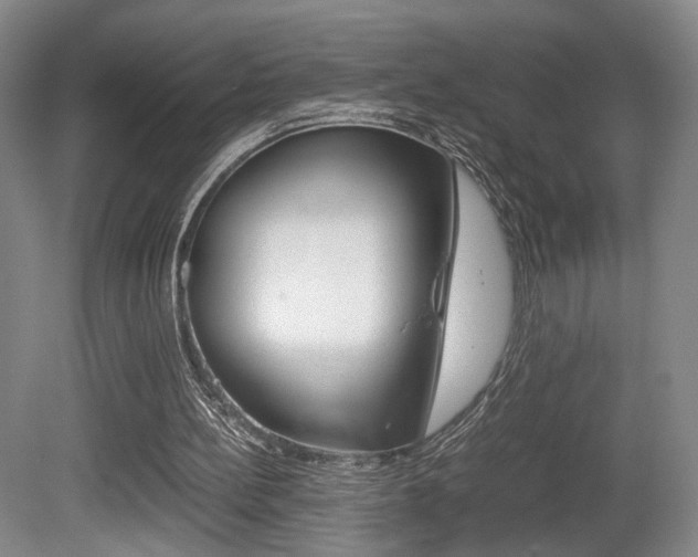 X0000080780148200612151041