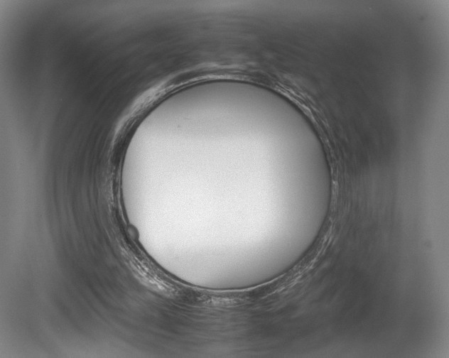 X0000080780149200612151041