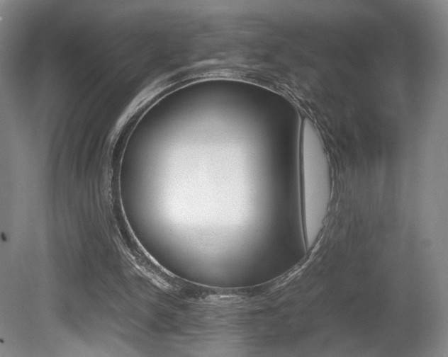 X0000080780150200612151041