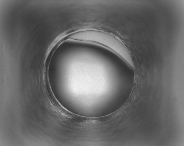 X0000080780152200612151041