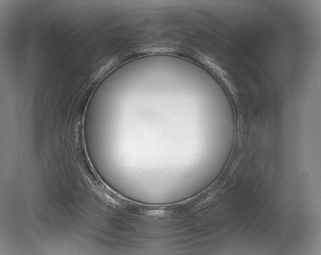 X0000080780153200612151041