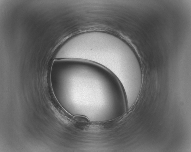 X0000080780154200612151041