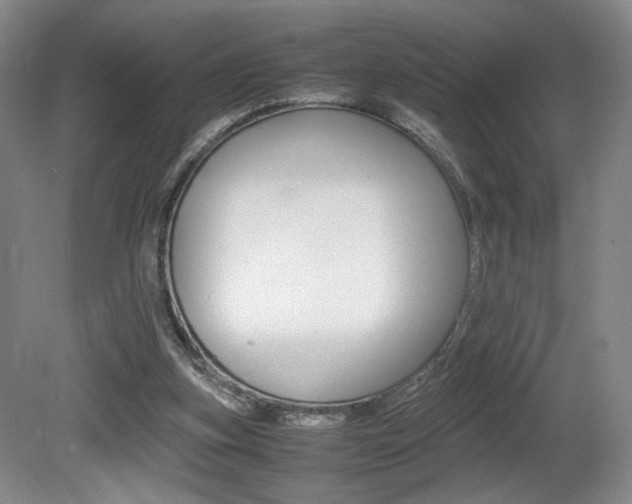 X0000080780155200612151041