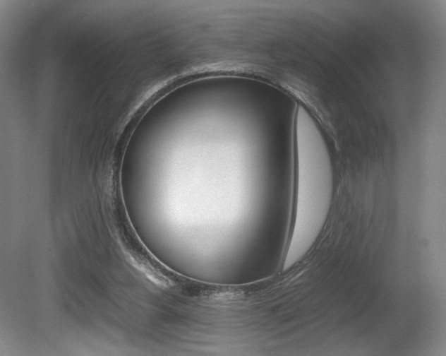 X0000080780156200612151041