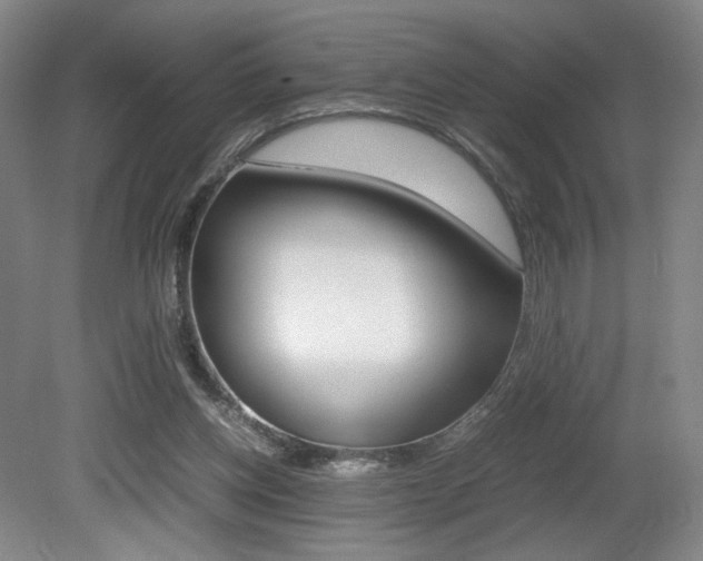 X0000080780158200612151041