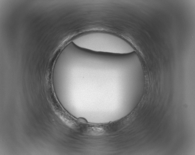 X0000080780159200612151041