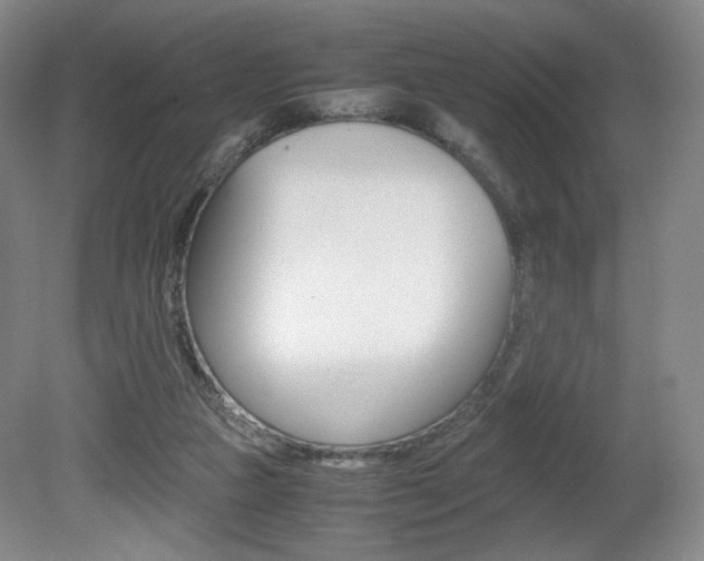 X0000080780161200612151041