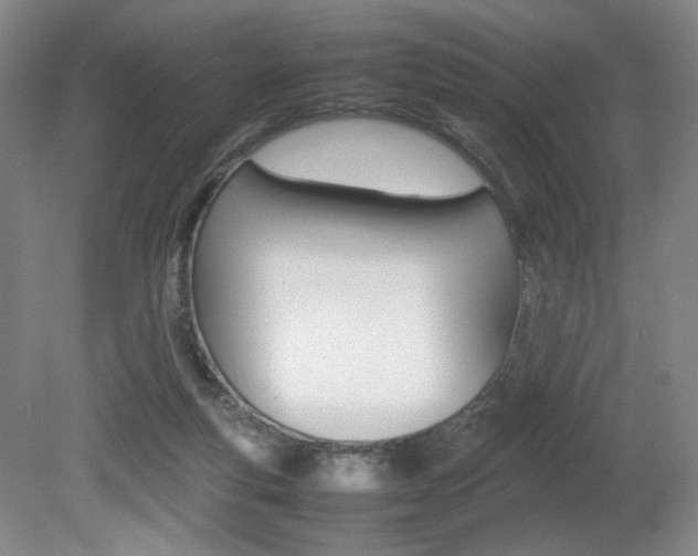 X0000080780163200612151041