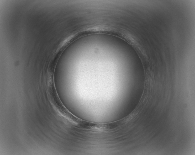X0000080780164200612151041