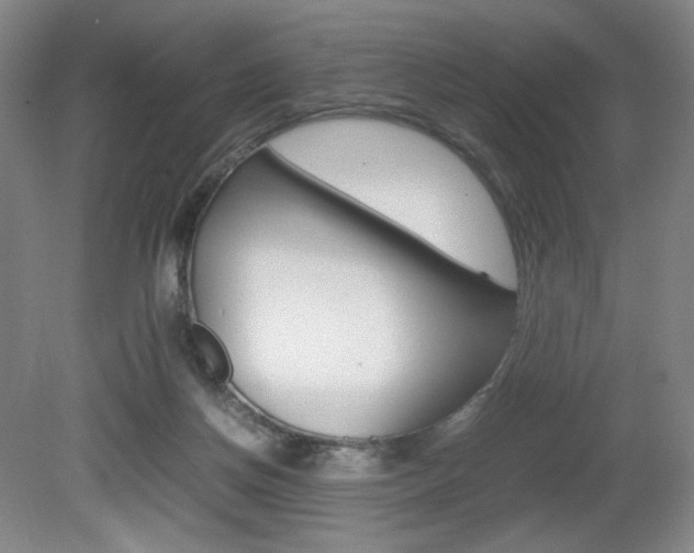 X0000080780166200612151041