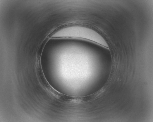 X0000080780168200612151041
