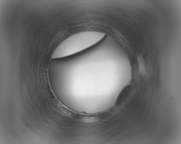 X0000080780169200612151041