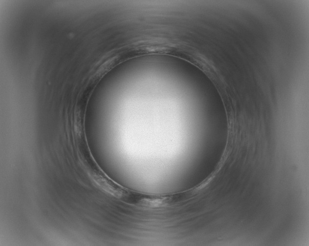 X0000080780170200612151041