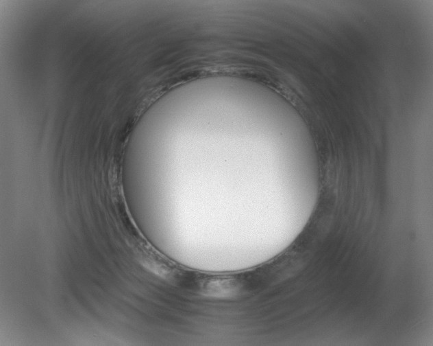 X0000080780173200612151041