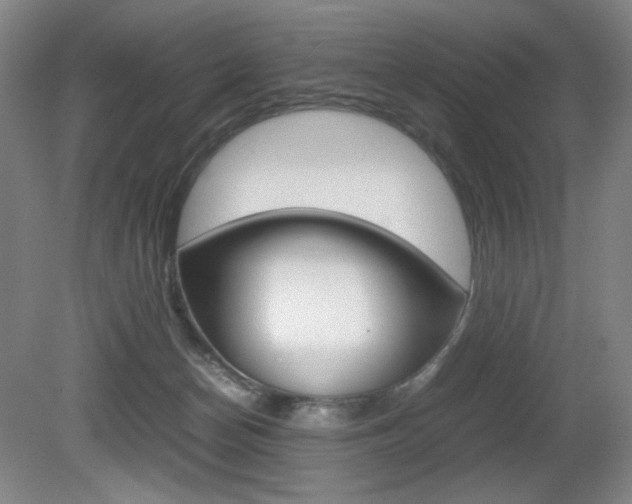 X0000080780174200612151041