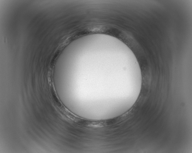X0000080780175200612151041