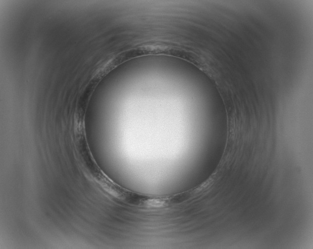 X0000080780176200612151041