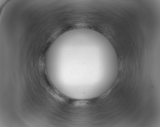 X0000080780179200612151041