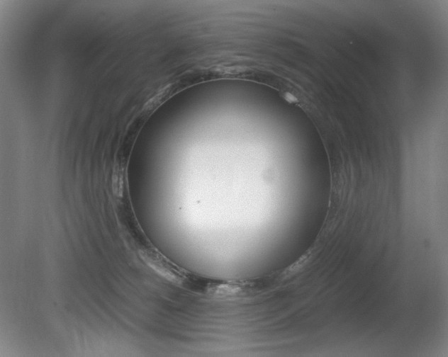 X0000080780180200612151041
