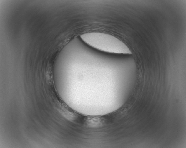 X0000080780181200612151041
