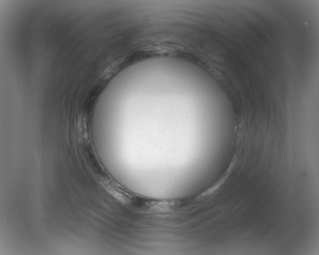 X0000080780182200612151041
