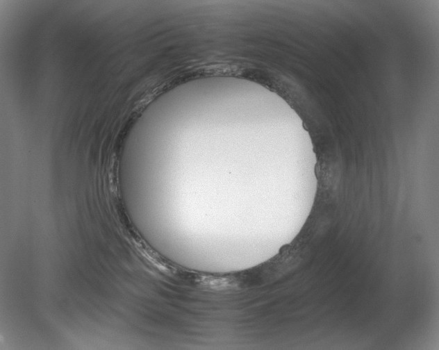 X0000080780185200612151041