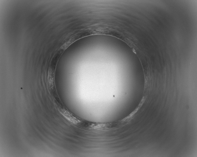 X0000080780186200612151041