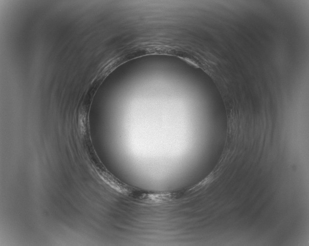 X0000080780188200612151041