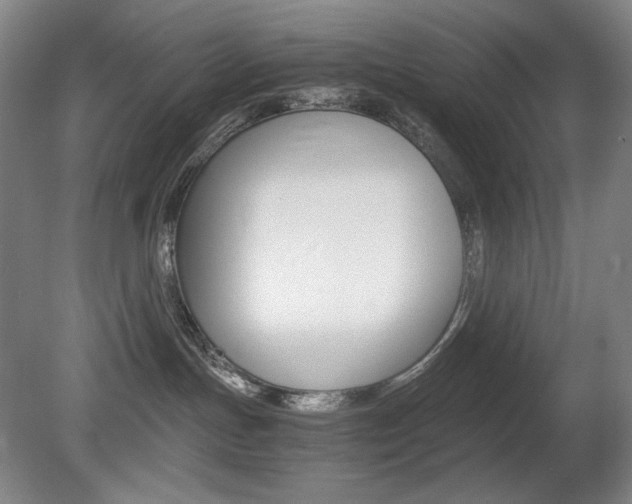 X0000080780191200612151041