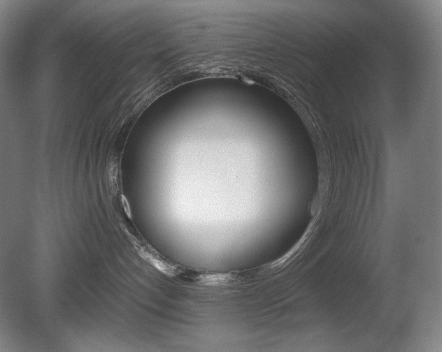 X0000080780192200612151041