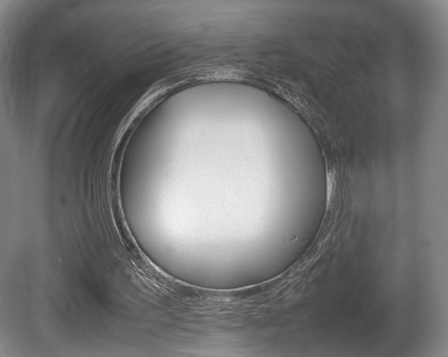 X0000080780195200612151040